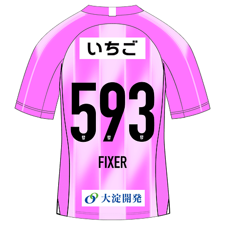 FIXER