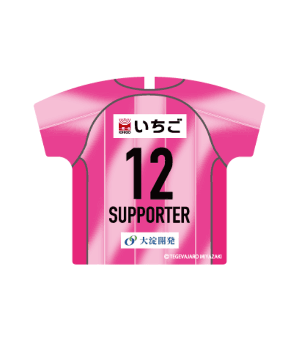2026/27 ユニ型カーマグネット