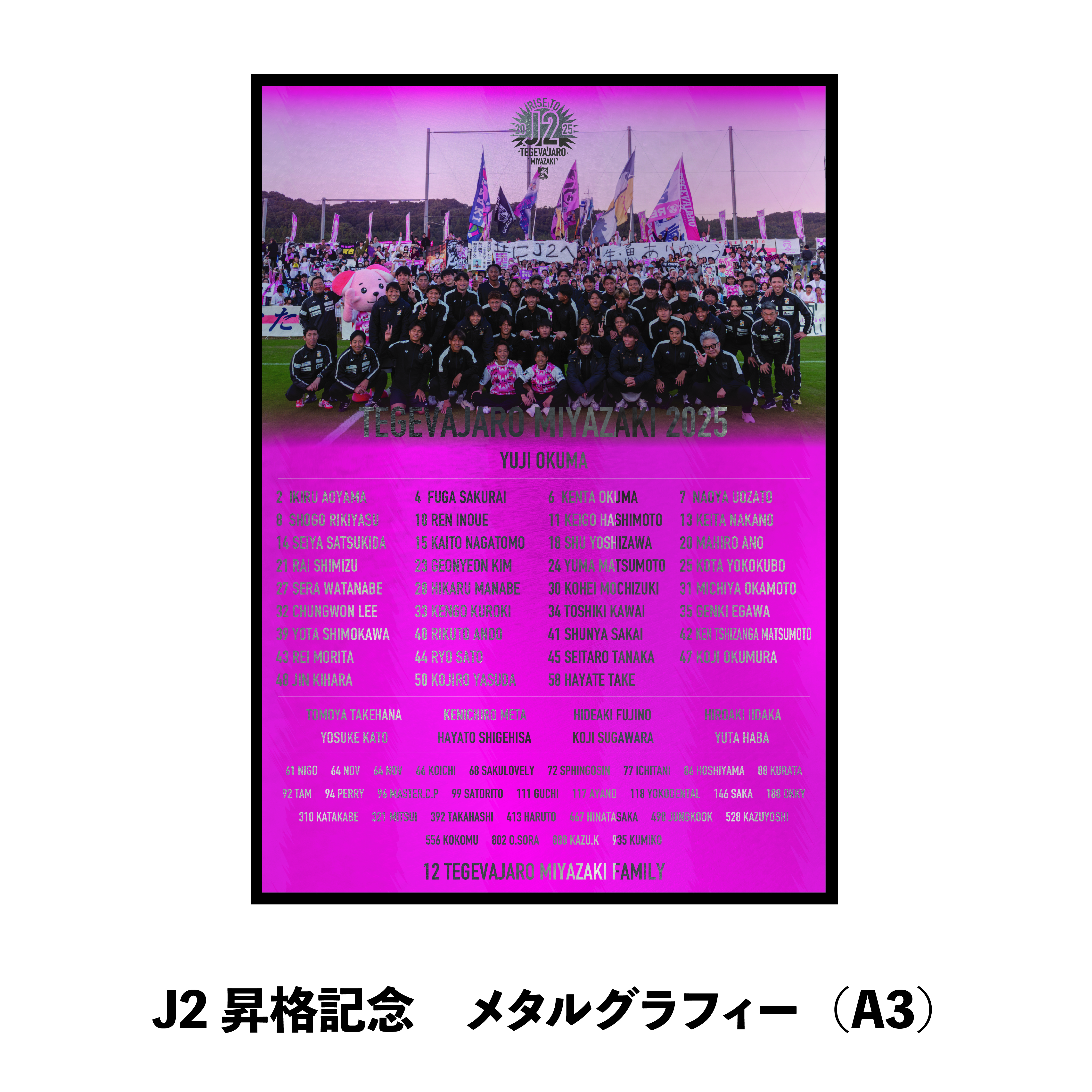 J2昇格記念 メタルグラフィー（A3）