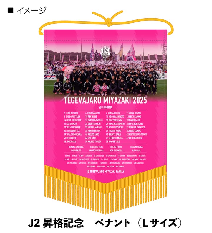 J2昇格記念 ペナント（Lサイズ）