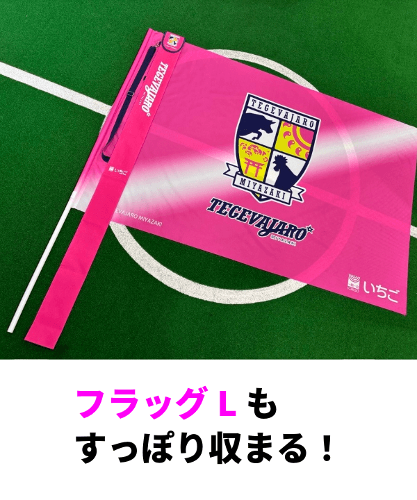 テゲバジャーロ宮崎－ECサイト