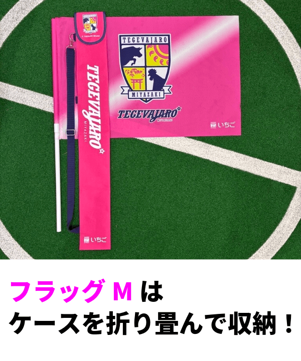 テゲバジャーロ宮崎 応援グッズセット テゲバジャーロ宮崎－ECサイト
