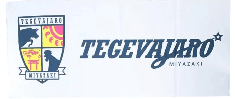 マイクロファイバータオル（フェイス）