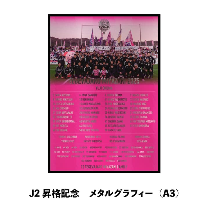 J2昇格記念 メタルグラフィー（A3）
