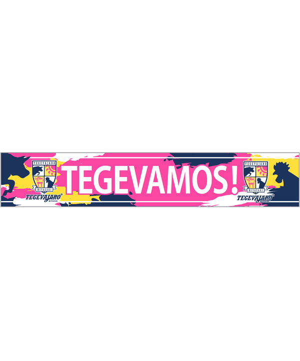 TEGEVAMOS！タオルマフラー