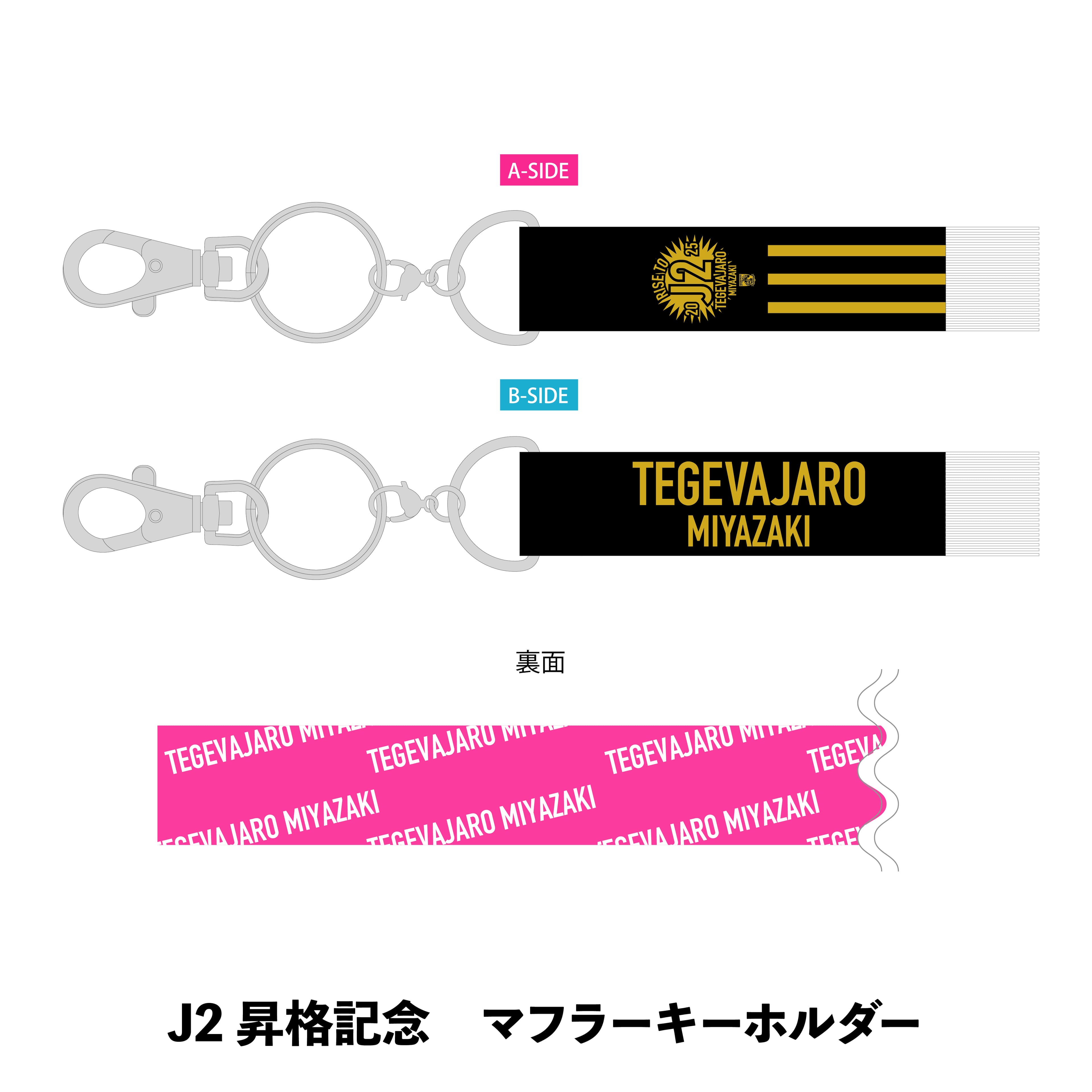 テゲバジャーロ宮崎－ECサイト